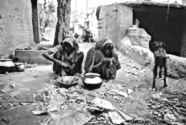 http://www.yazdfarda.com/media/news_gal/file_13239.jpeg