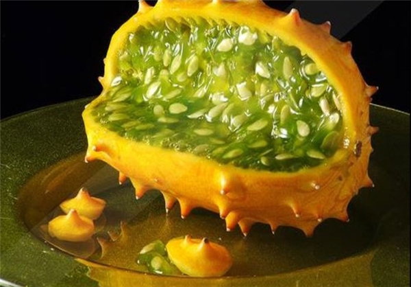 http://www.yazdfarda.com/media/news_gal/file_13512.jpeg
