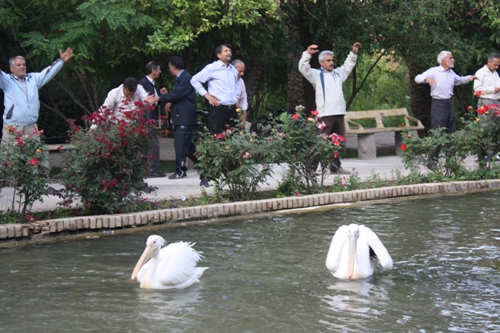 http://www.yazdfarda.com/media/news_gal/file_1904.jpeg