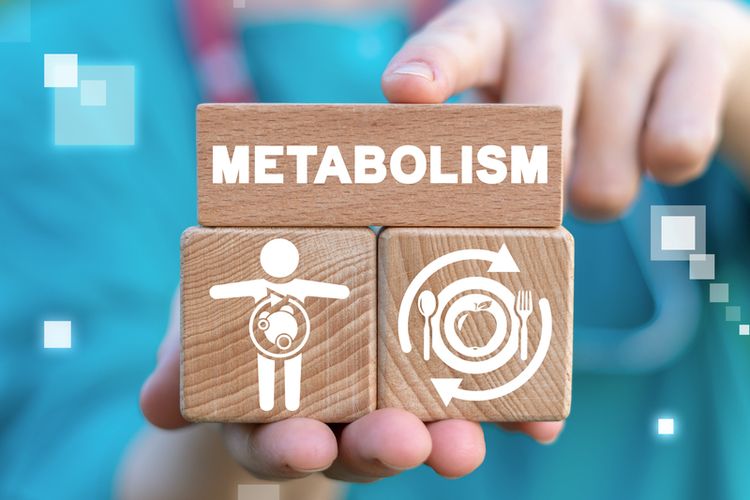 علائم سوخت‌وساز سالم بدن چیست؟