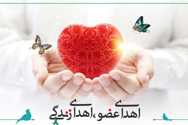 هجدهمین اهدای عضو سال جاری در یزد رقم خورد