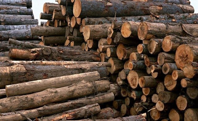 کشف بیش از ۲۰ تن زغال و چوب قاچاق در یزد