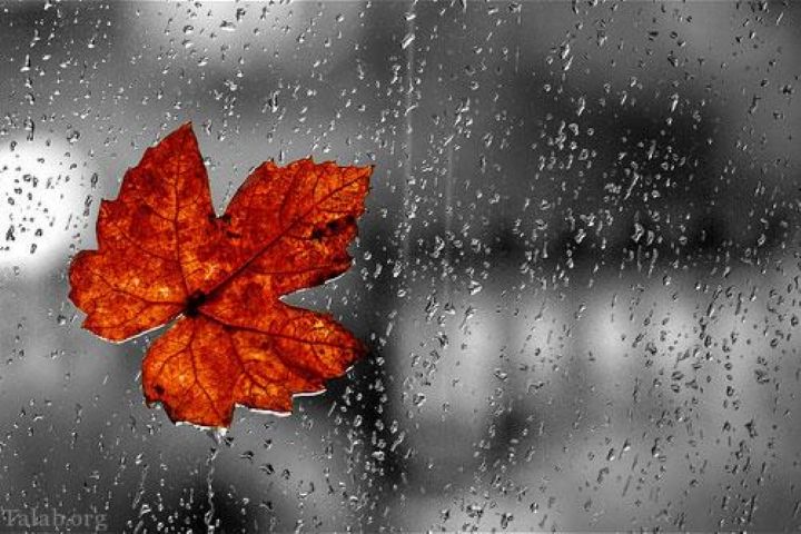 بارش پراکنده و افزایش سرعت باد در یزد از سه‌شنبه/ هشدار آلودگی هوا در برخی مناطق