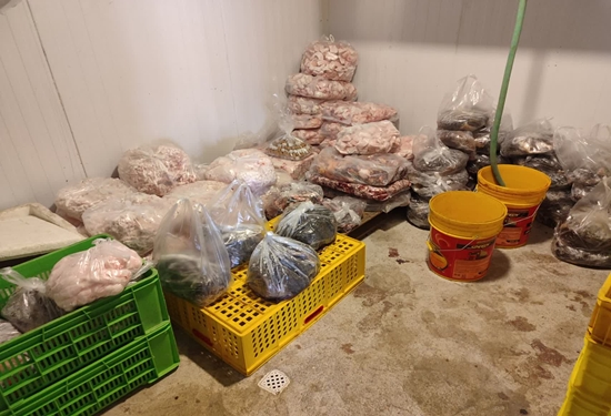 واحد کشتار غیر مجاز دام در شهرستان تفت مهر و موم شد