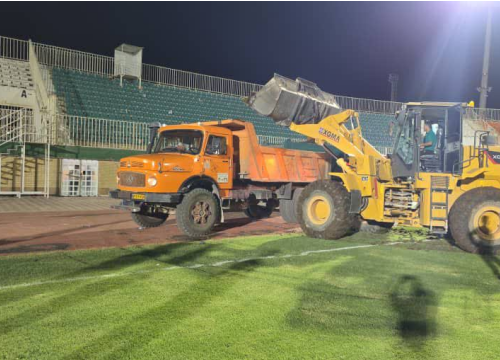 چمن سردسیری در ورزشگاه شهید نصیری کشت می‌شود