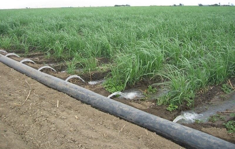 کشاورزان یزدی ۴.۶ هزار هکتار سامانه آبیاری نوین در دست اجرا دارند