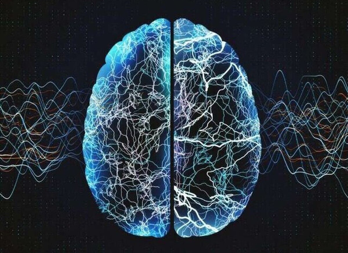 شروع زودهنگام بیماری قلبی عامل اصلی ابتلا به زوال عقل