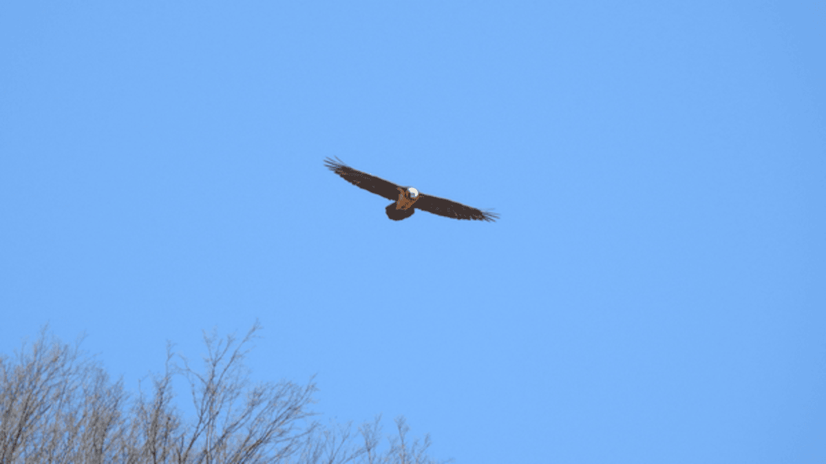 فیلم| هما در قاب دوربین