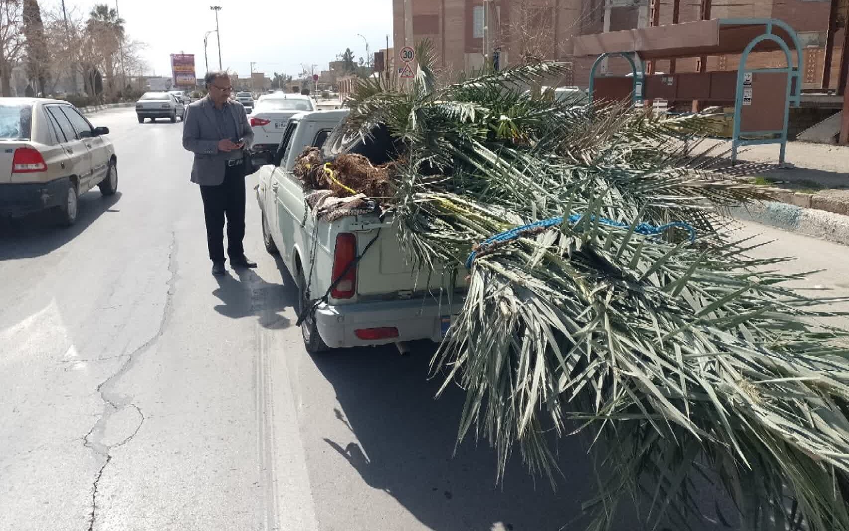 برخورد قاطع با عرضه نهال غیرمجاز