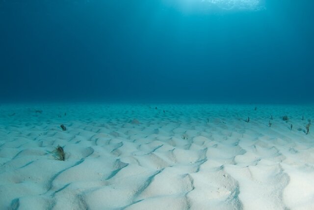 رنگ‌های مرموز اقیانوس‌ها