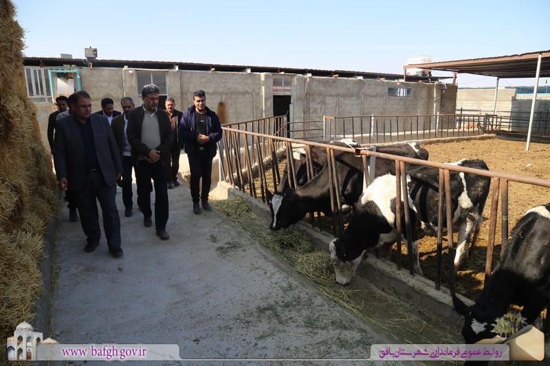 مسائل و مشکلات دامداران مجتمع گاوشیری بافق بررسی شد + تصاویر