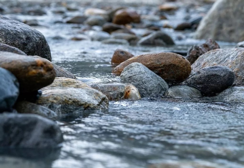 تأثیر نامرئی گرمایش زمین: میکروب‌های مفید رودخانه‌ها تحت فشار شدیدی قرار دارند