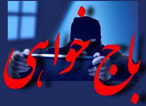 باج گیری مجازی با استفاده از وب کم 