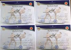 کسب مقام دوم و سومی در مسابقات چند جانبه گراپلینگ کیک بوکسینگ