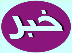 وزیر ورزش و امور جوانان عنوان کرد واگذاری سرخابی‌ها تا شهریور 93