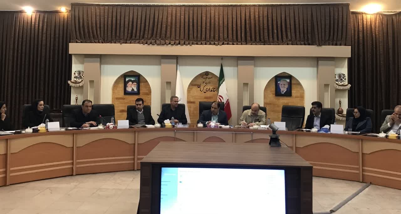 نشست هماهنگی برگزاری دهمین نمایشگاه تخصصی فرش دستباف کرمان