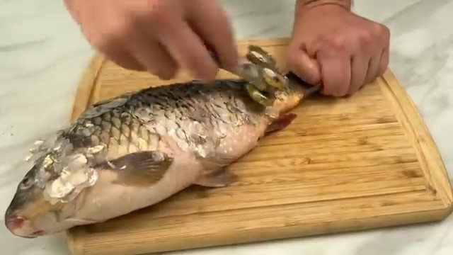 فیلم| نحوه پاک کردن ماهی با دو عدد درب بطری نوشابه شیشه‌ای