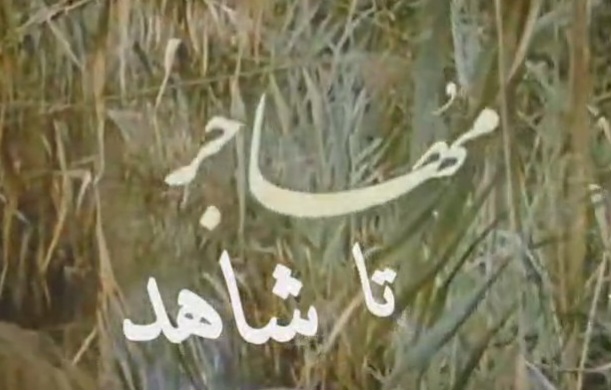 ببینید| شاهد تا مهاجر