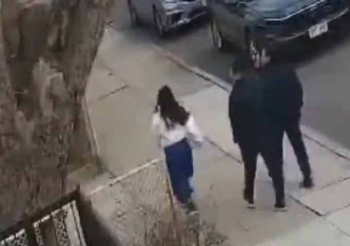 فیلم| فرار اعضای یک خانواده از سقوط درخت کهنسال